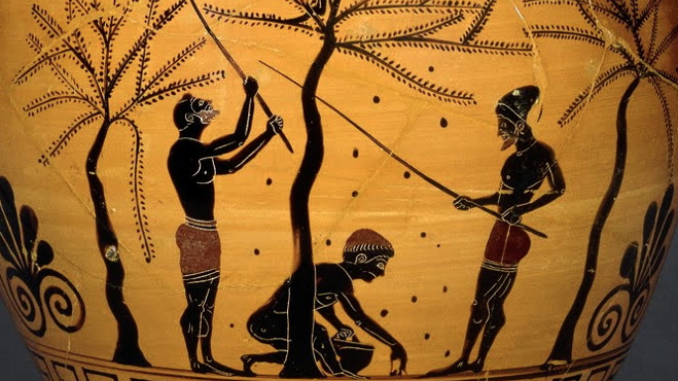 Ada banyak pilihan kuliner favorit zaman Yunani Kuno, seperti roti, biji-bijian, keju, produk susu dan masih banyak lagi. Yuk, cek selengkapnya disini.